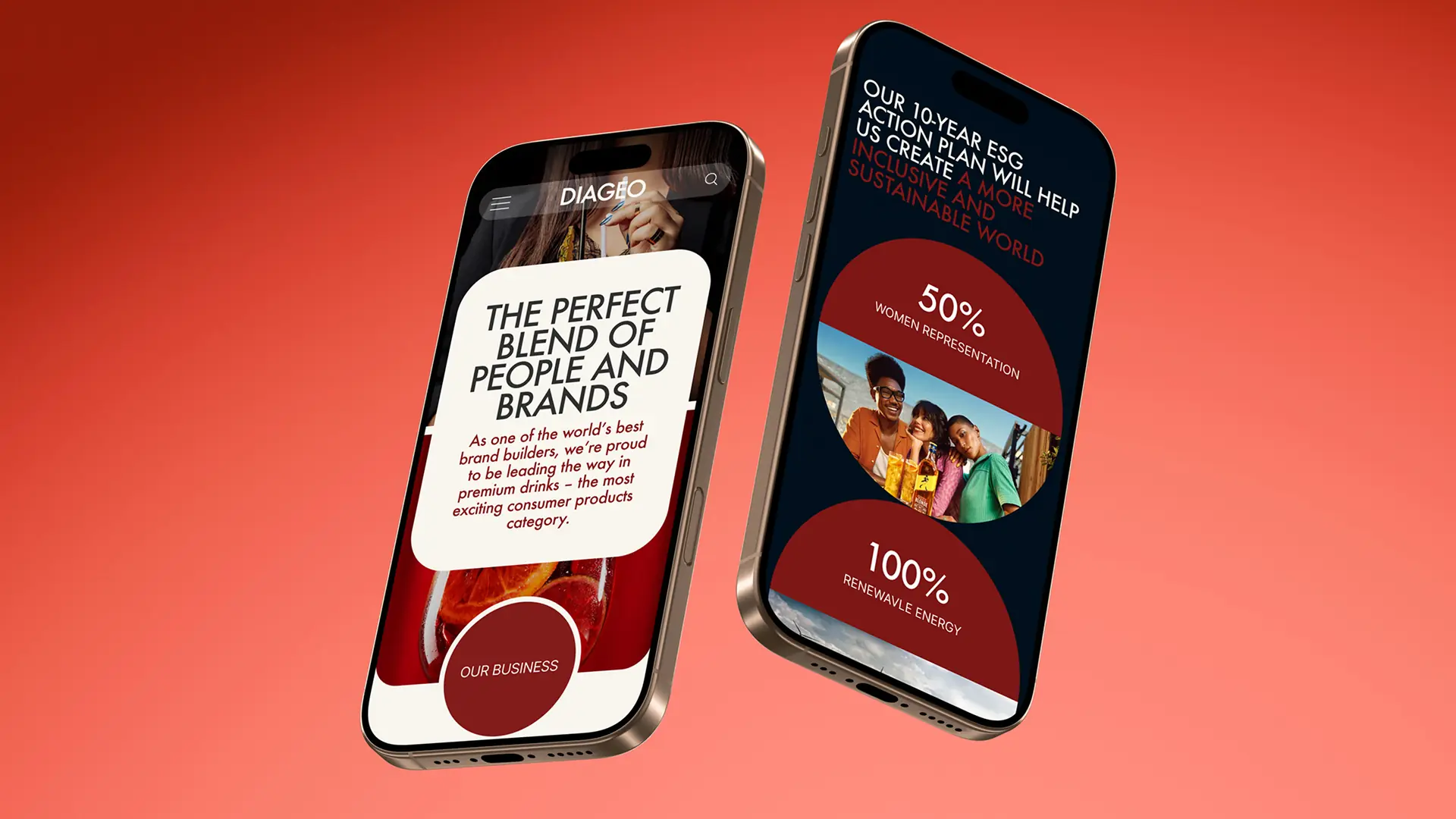 Diageo website mockup 3