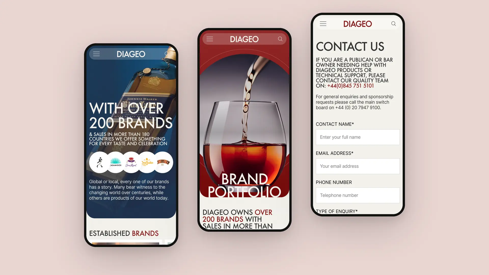 Diageo page 5