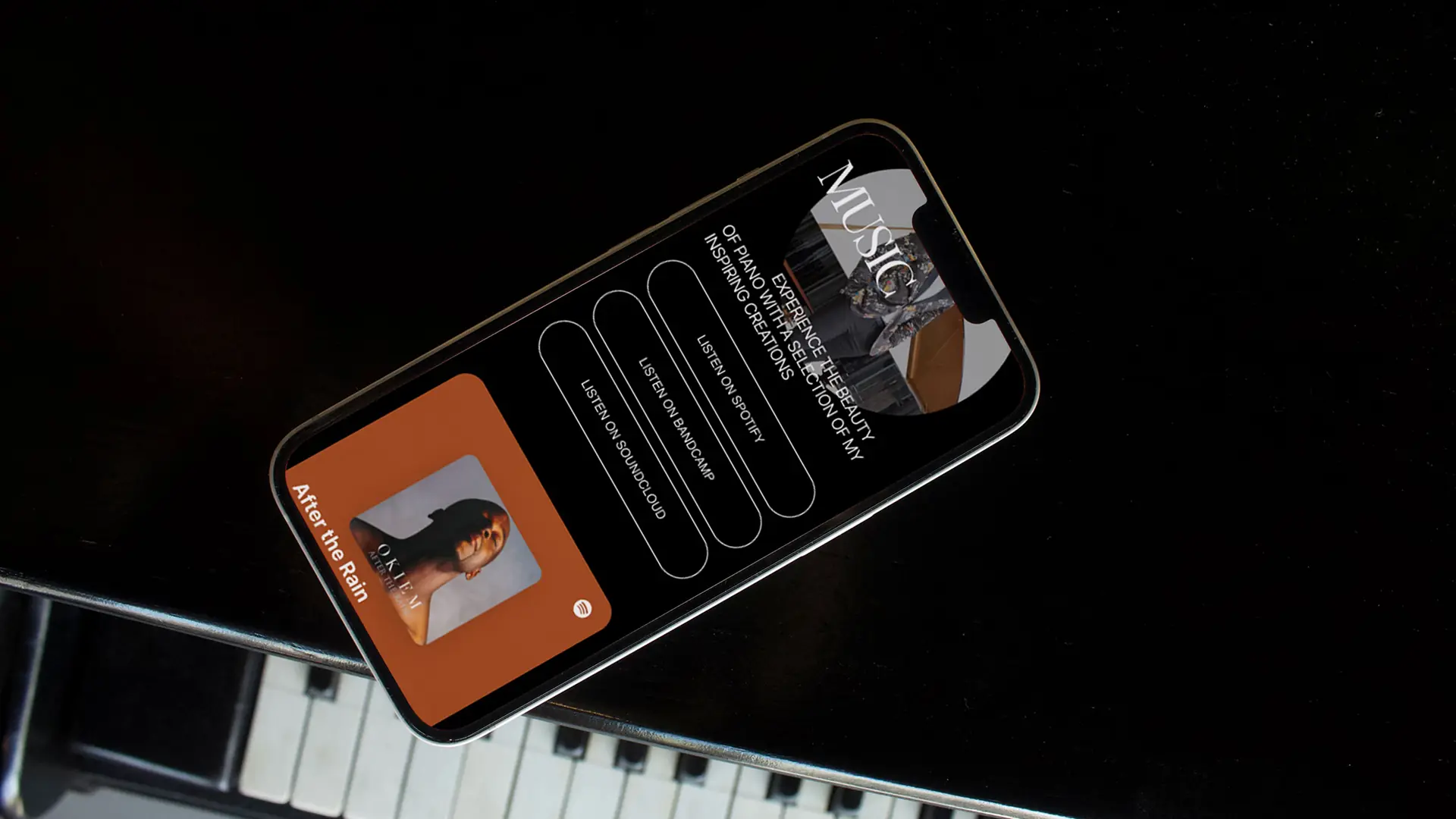 Okiem website mockup 2